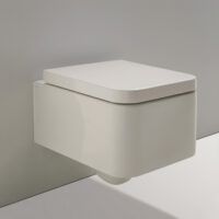 Wandcloset met zachtsluitende toiletzitting