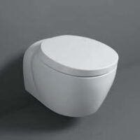 Wandcloset met zachtsluitende toiletzitting