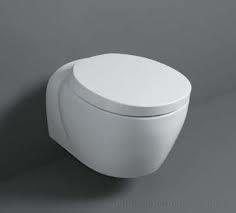 Wandcloset met zachtsluitende toiletzitting